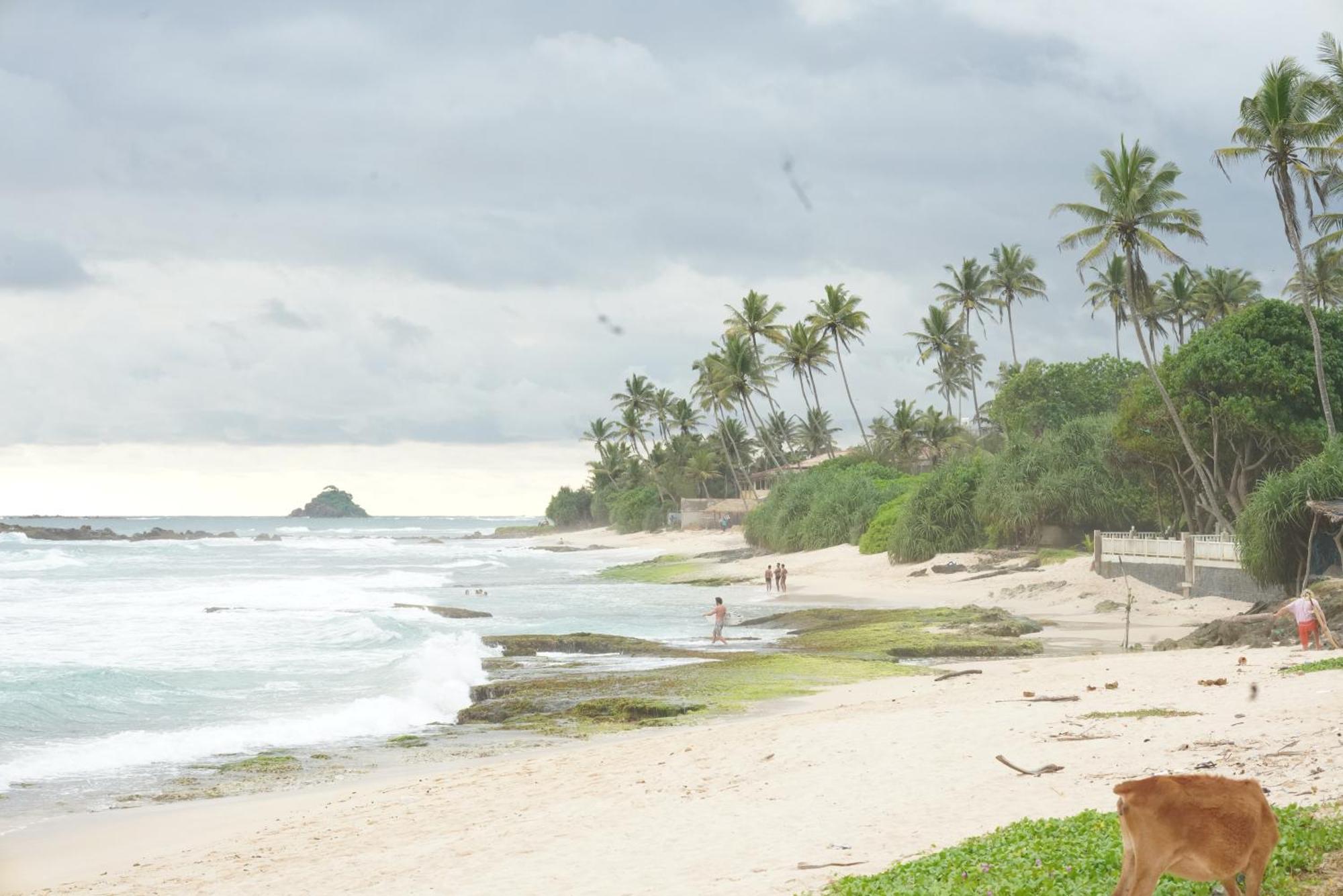 Surf Orchid Villa Weligama Dış mekan fotoğraf