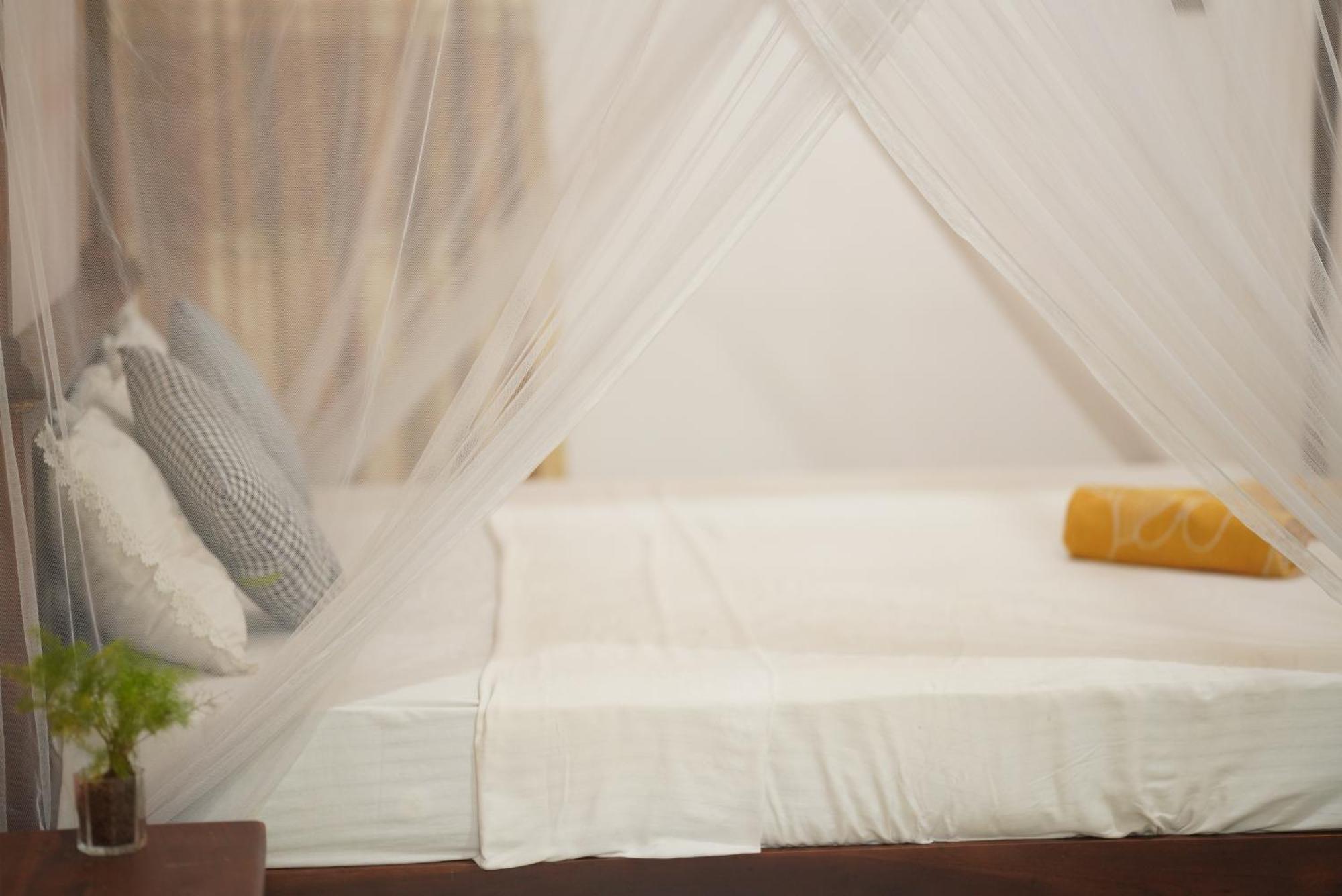 Surf Orchid Villa Weligama Dış mekan fotoğraf